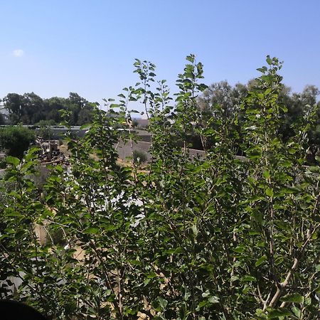 L'Hirondelle De Kelibia : Chez Amou Hotel Cameră foto