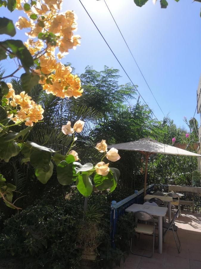 L'Hirondelle De Kelibia : Chez Amou Hotel Exterior foto